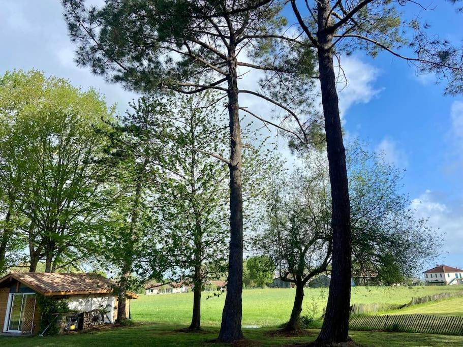 Came Gite La Lande En Pays Basque 아파트 외부 사진