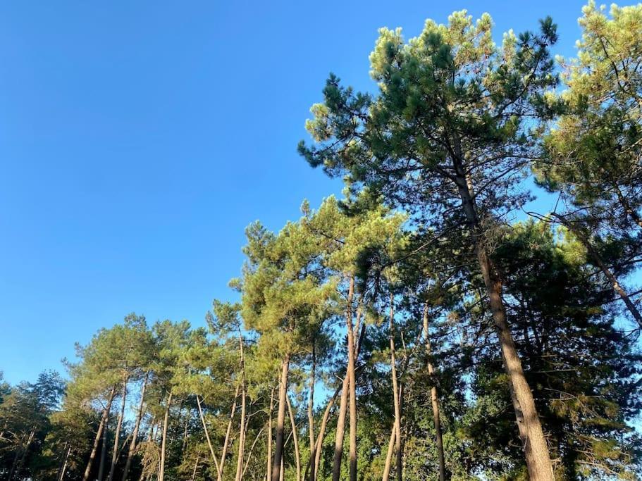 Came Gite La Lande En Pays Basque 아파트 외부 사진